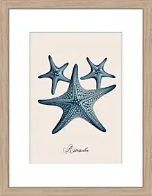Image encadrée étoile de mer Dada Art cadre en bois 30x40 cm