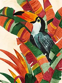Affiche Toucan toucan, animaux l.60 x H.80 cm multicolore