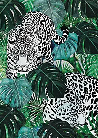 Affiche léopard jungle vert L.40 x H.50cm Dada Art