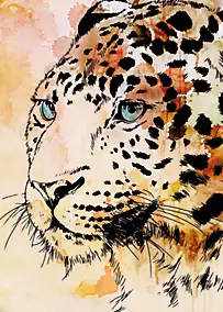 Affiche portrait léopard effet aquarelle L.40 x H.50cm Dada Art