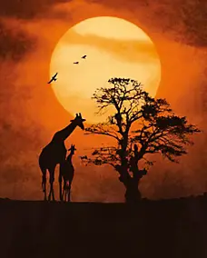 Affiche coucher de soleil en Afrique l.40 x H.50 cm Dada Art
