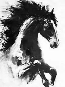 Affiche cheval noir et blanc l.60 x l.80 cm Dada Art