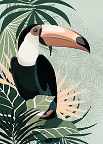 Affiche toucan feuillage vert l.50 x l.70 cm Dada art