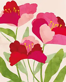 Affiche fleurs roses l.24 x l.30 cm Dada Art
