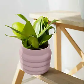 Vase boudin en terre cuite violet lilas Ø13,5 x H.12cm Ornami