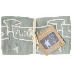 Couverture décor pour photos avec 2 accessoires rayé vert de gris