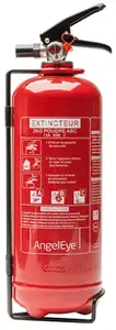 Extincteur 2 kg à pression auxiliaire NF