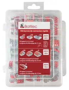 Lot de 100 bornes mixte 3 entrées à levier et automatiques