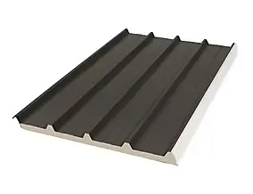 Panneau sandwich Bac Acier 300 x 100 cm