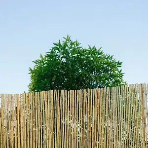 Canisse naturelle en roseau - H. 1,80 m x L. 3 m