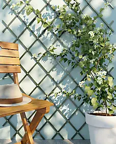 Treillis extensible pvc vert 1 x 2 m