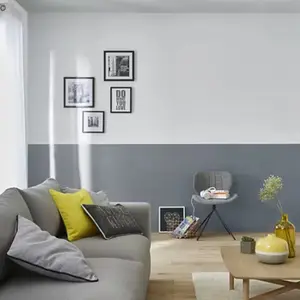 Peinture de rénovation meubles acrylique métallisé argent Pasadena 125 ml