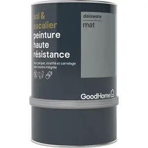 Peinture de rénovation sol et escalier acrylique mat gris Delaware 0,75 L