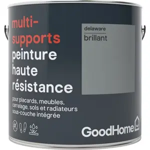 Peinture haute résistance multi-supports acrylique brillant gris Delaware 2 L