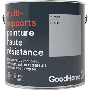 Peinture haute résistance multi-supports acrylique satin gris Tucson 2 L