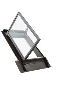 Lucarne de toit L. 45 x H. 60 cm noir