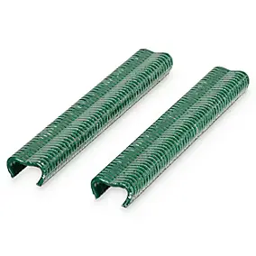 Boîte 1250 agrafes Blooma vertes 16 mm