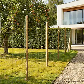 Piquet pin carré 41 x 41 mm H 200 cm