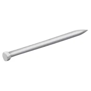 Clous à tête d'homme ronde en acier galvanisé 1,6x30 - 5kg