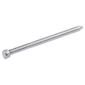 Clous à tête d'homme ronde en acier galvanisé 3x50 - 5kg