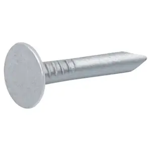 Clous à tête plate en acier galvanisé 3x20 - 2kg
