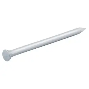 Clous de maçon en acier galvanisé 3,4x50 - 1kg