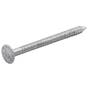 Clous à tige annelée 2x25 mm - boîte de 1kg Diall