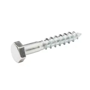 Tirefonds à zing 5 x 30 mm 200 pièces