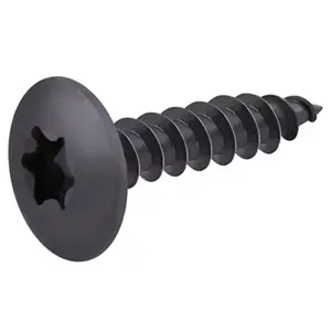 Vis de charnière noir 6 x 30 mm 20 pièces