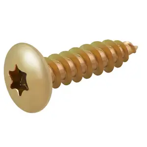 Vis de charnière 6 x 30 mm 20 pièces