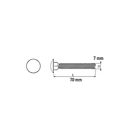 10 boulons tête ronde collet carré 7 x 70 mm