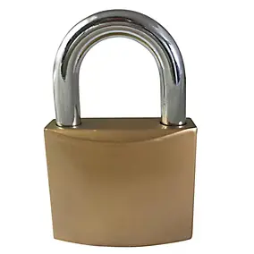 Cadenas Fer Ever strong 48 x 40 mm Gris