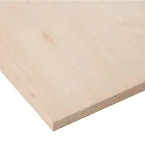 Panneau contreplaqué - L. 244 X l. 122 cm x Ép. 15 mm