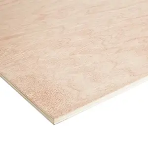 Panneau prédécoupé contreplaqué 122 x 61 cm Ép. 9 mm