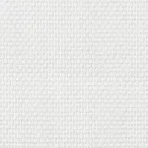 Fibre de verre maille 100 g/m²
