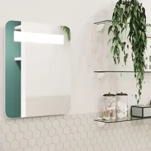Miroir 1 bande Led 50X40 cm "Colwell"