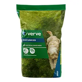 Graines de gazon zone ombre Verve 5kg