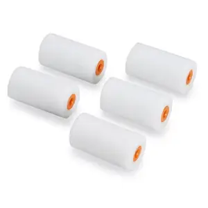 5 mini-rouleaux mousse