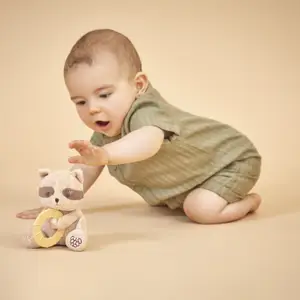 Peluche anneau de dentition Raton Laveur