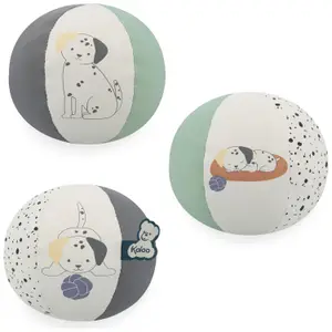 Mon ballon Chiot