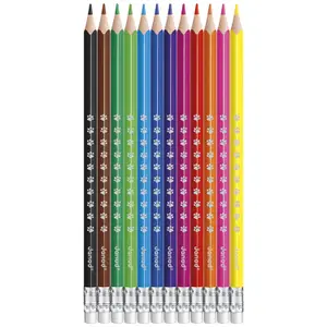 Lot de 12 crayons effaçables