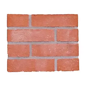 Brique de construction L.22 x l.10,5 x H.5 cm