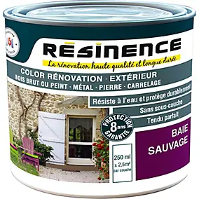 Résine de rénovation extérieur multi-support baie sauvage satin Résine extérieur nce 0,25L
