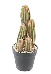 Cactus finger X artificiel h.28 cm avec pot décoratif