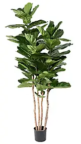 Arbre figuier Lyrata multi Artificiel