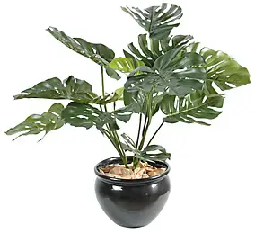 Philo géant artificiel 15 avec pot décoratif