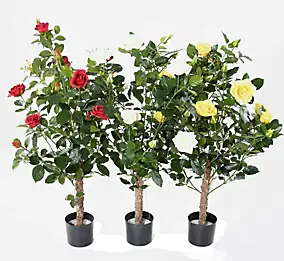 3 Rosiers Royal artificiels en pots décoratifs