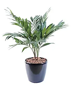 Palmier Parlour artificiel avec pot décoratif