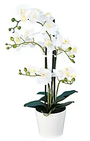Orchidée Phalaenopsis Artificielle en pot