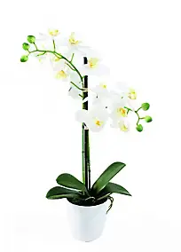 Phalaenopsis artificiel en pot fleurs blanches déco
